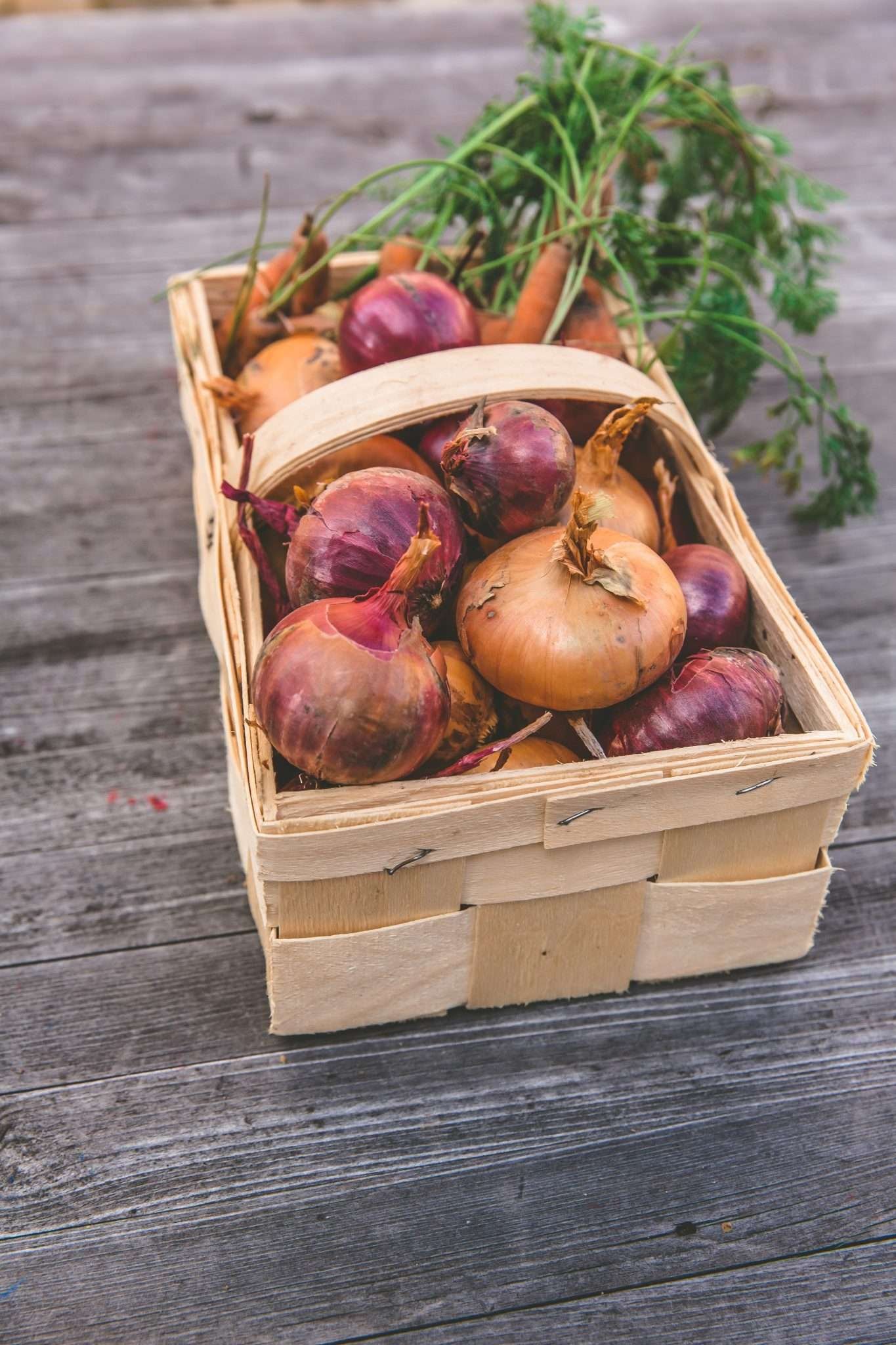 Can Chickens Eat Onions? What Do the Studies Say and What You Must Know ...