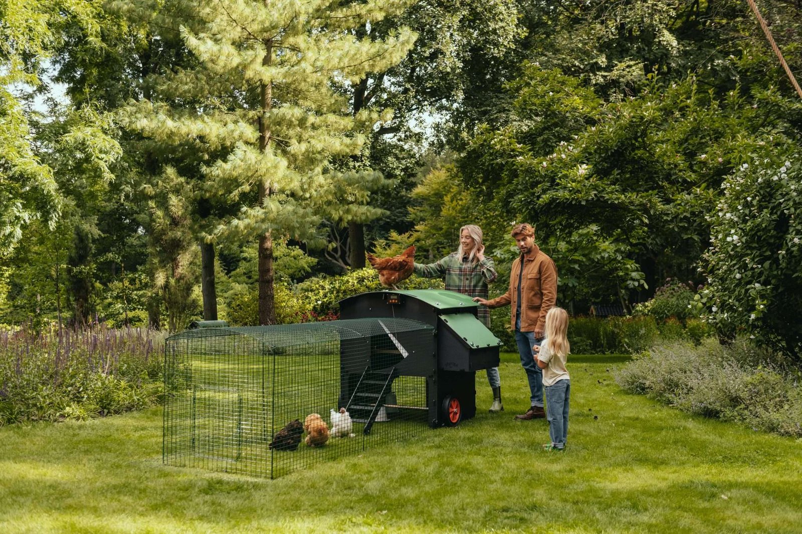 Nestera vs Omlet Chicken Coops A Review of Plastic Chicken Coops for